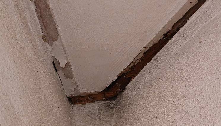 Cara membasmi rayap di plafon rumah dengan deteksi kerusakan