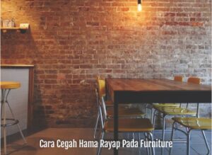 cara cegah hama rayap pada furniture