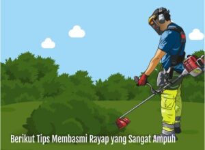 tips membasmi rayap