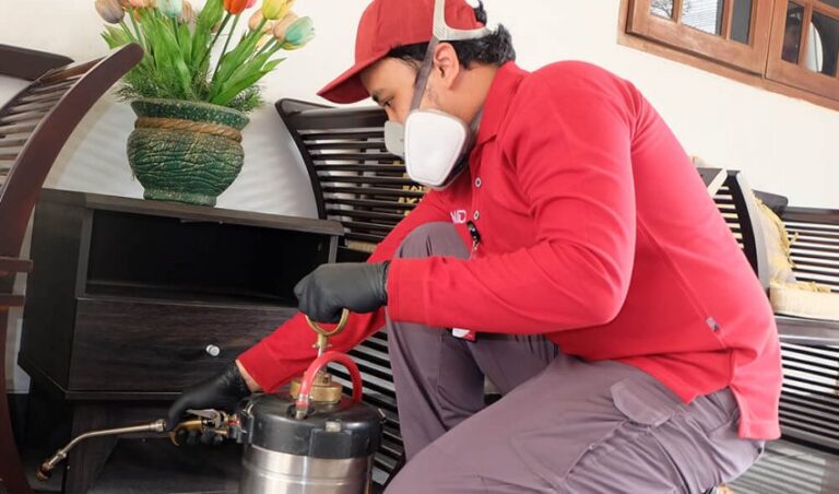 Alasan Memilih Jasa FUMIDA Untuk Basmi Serangga Di Rumah