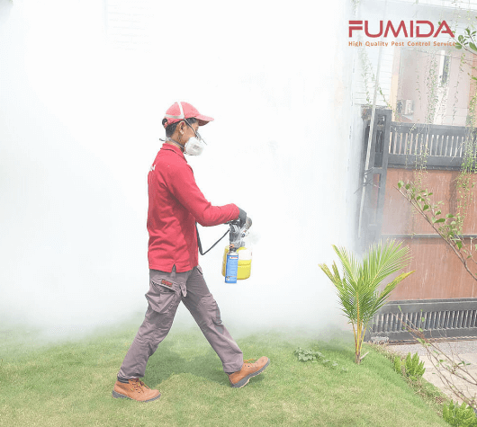 Teknisi sedang melakukan fogging nyamuk