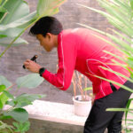 Jenis-jenis Tawon Berbahaya DSCF3792 edited (1)