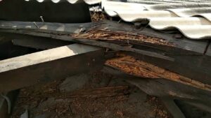 Cara Memperkuat Rangka Atap yang Rusak Akibat Rayap