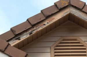 Risiko Robohnya Atap Kayu Akibat Serangan Rayap