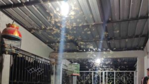 Tips Ampuh Menghindari Laron di Lampu Teras