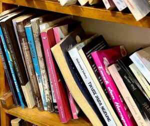 Row of assorted books leaning on a wooden shelf, angled against the back wall.