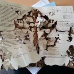 Kenapa Rayap Suka Makan Kertas Padahal Bukan Bahan Kayu? Ini Penjelasan Lengkapnya Kenapa Rayap Suka Makan Kertas Padahal Bukan Bahan Kayu