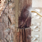 Cara Mengatasi Rayap Pada Rumah Kayu