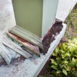 Cara Mengecek Rayap di Pondasi Rumah dengan Pemeriksaan dari Luar ke Dalam Cara Mengecek Rayap di Pondasi Rumah