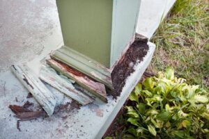 Cara Mengecek Rayap di Pondasi Rumah