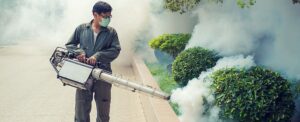 Fogging Nyamuk Kapan Diperlukan