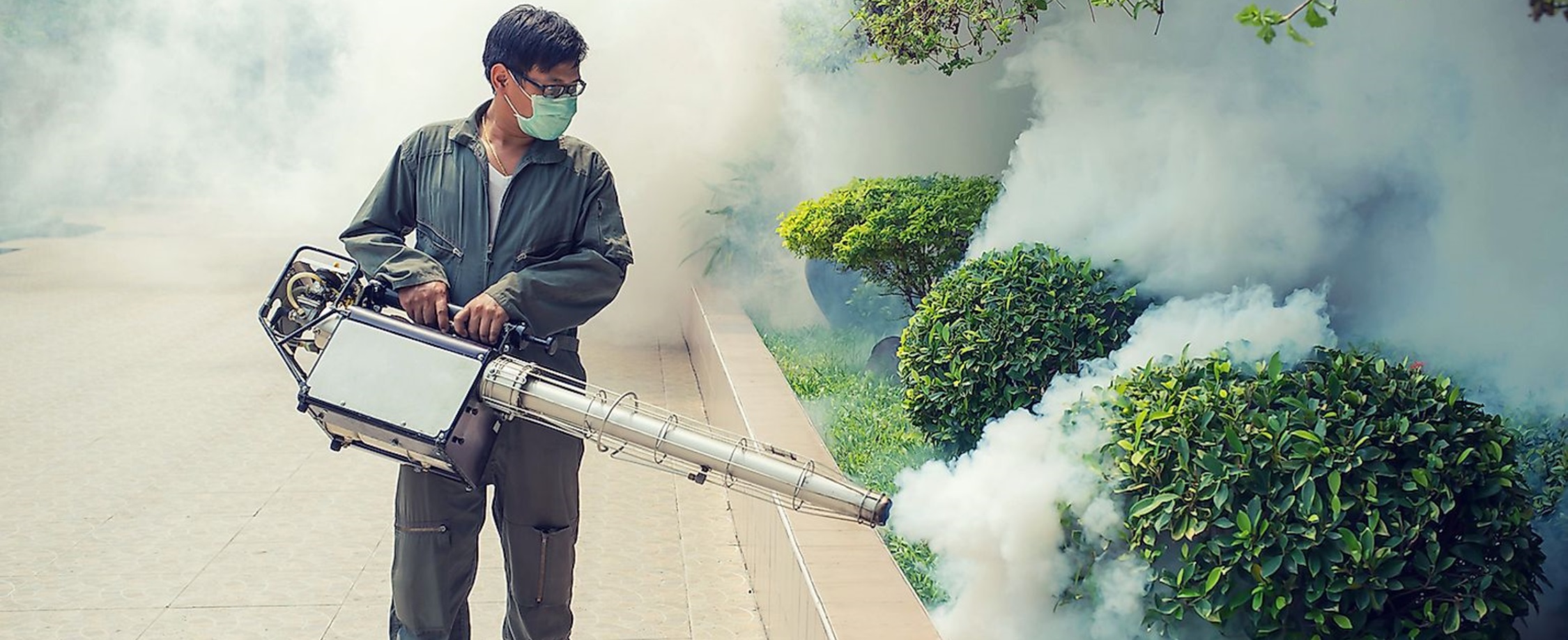 Fogging Nyamuk Kapan Diperlukan