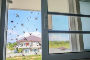 Penyebab Nyamuk Banyak Di Rumah